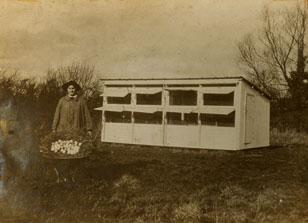 Miss Edwards
